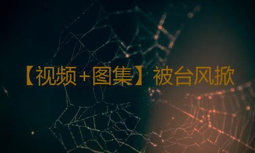 【视频+图集】被台风掀翻的货车得到救援,司机们回归平静生活