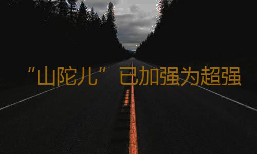 “山陀儿”已加强为超强台风,粤东海域渔船请于今日18时前回港避风