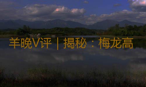 羊晚V评｜揭秘：梅龙高铁点解是条“大金链”？