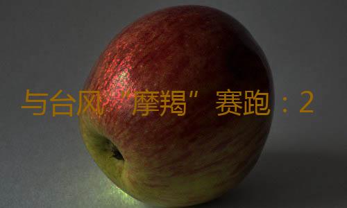 与台风“摩羯”赛跑:2800多名电力支援人员到达湛江,重载无人机投入台风抢修