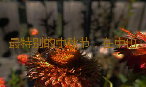 最特别的中秋节,在中山!